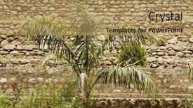  Presentation with palm tree - Audience pleasing PPT theme consisting of jim corbett national park nainital backdrop and a  colored foreground
