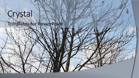  Presentation with india - Presentation theme with jim corbett national park nainital background and a  colored foreground