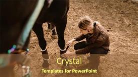 Presentation with horse - Slides with jockey-woman-harnessing-her-horse background and a tawny brown colored foreground