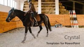  Presentation with horse riding - Theme having jockey-woman-wearing-helmet-riding background and a mint green colored foreground