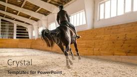  Presentation with equestrian - PPT theme featuring jockey-woman-wearing-helmet-riding background and a coral colored foreground