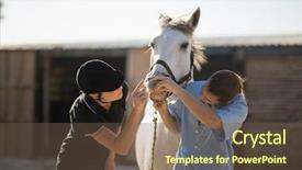  Presentation with vet - PPT layouts having jockeys - female jockey and vet examining background and a  colored foreground