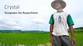  Presentation with paddy field - 