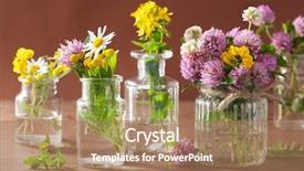  Presentation with herbs - Amazing theme having john wooden - colorful medical flowers and herbs backdrop and a  colored foreground