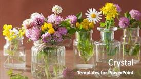  Presentation with dried herbs and dried flowers - Slide set having john wooden - colorful medical flowers and herbs background and a coral colored foreground