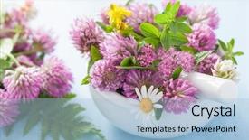  Presentation with dried herbs and dried flowers - Audience pleasing presentation design consisting of john wooden - colorful medical flowers and herbs backdrop and a  colored foreground