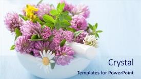  Presentation with mortar - Theme having john wooden - colorful medical flowers and herbs background and a  colored foreground