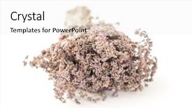  Presentation with white flowers - Cool new theme with john wooden - dried oregano flowers isolated backdrop and a  colored foreground