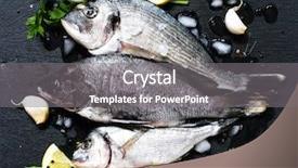  Presentation with fish - Amazing PPT layouts having john wooden - fresh fish orata backdrop and a gray colored foreground