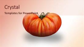  Presentation with abstract close up soap bubble - Beautiful presentation featuring johnson johnson - extreme close-up image of german backdrop and a  colored foreground