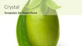  Presentation with seed - Theme having jojoba-seed-isolated-on-white background and a blonde colored foreground