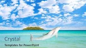  Presentation with jolly - PPT theme featuring jolly dolphin background and a arctic colored foreground