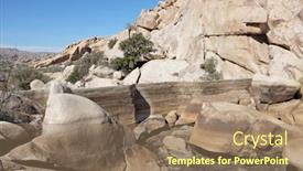  Presentation with joshua tree national park - Theme featuring joshua-tree-ca-february-26 background and a coral colored foreground