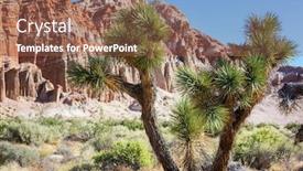  Presentation with arizona desert - Cool new PPT theme with joshua-tree-in-arizona-desert backdrop and a violet colored foreground