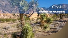  Presentation with arizona desert - Slide set featuring joshua-tree-in-arizona-desert background and a teal colored foreground