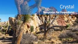  Presentation with arizona desert - PPT theme enhanced with joshua-tree-in-arizona-desert and a teal colored foreground