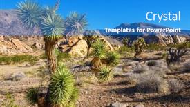  Presentation with arizona desert - PPT layouts featuring joshua-tree-in-arizona-desert and a teal colored foreground