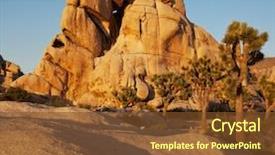  Presentation with tree in sinai desert - PPT theme with joshua tree in desert background and a tawny brown colored foreground