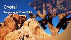  Presentation with tree in sinai desert - Amazing PPT layouts having work experience 3d rendering vintage old red sign backdrop and a coral colored foreground