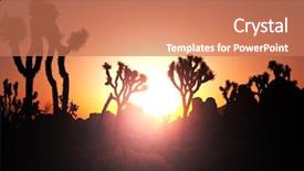  Presentation with desert - Audience pleasing slide deck consisting of joshua tree in desert backdrop and a coral colored foreground