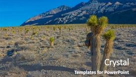  Presentation with landscape desert - PPT theme having joshua tree landscape high background and a gray colored foreground