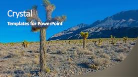  Presentation with landscape desert - Audience pleasing slide set consisting of joshua tree landscape high backdrop and a teal colored foreground