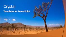  Presentation with joshua tree national park - Audience pleasing presentation design consisting of joshua tree national park yucca valley in mohave desert california usa backdrop and a teal colored foreground