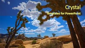  Presentation with joshua tree national park - PPT theme enhanced with joshua tree national park yucca background and a  colored foreground