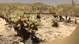  Presentation with joshua tree national park - Colorful PPT layouts enhanced with joshua-tree-national-park backdrop and a coral colored foreground