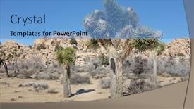  Presentation with confined - Slide deck featuring joshua-tree-yucca-brevifolia background and a teal colored foreground