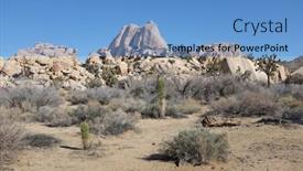  Presentation with joshua tree national park - Colorful slide deck enhanced with joshua-trees-and-boulder-formations backdrop and a teal colored foreground
