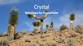  Presentation with death - Audience pleasing presentation theme consisting of joshua trees in death valley california backdrop and a teal colored foreground