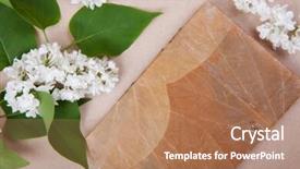  Presentation with lotus flower white water lily - Beautiful slide deck featuring jotter on the surface backdrop and a  colored foreground