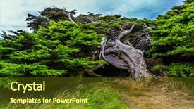  Presentation with strong wind - Colorful presentation design enhanced with journey to the south island backdrop and a tawny brown colored foreground