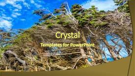  Presentation with strong wind - Presentation design with journey to the south island background and a tawny brown colored foreground