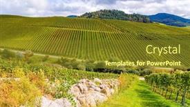  Presentation with journey - Slide set enhanced with journey-to-the-wine-region background and a tawny brown colored foreground