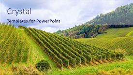  Presentation with journey - Slide deck enhanced with journey-to-the-wine-region background and a sky blue colored foreground