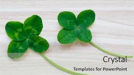  Presentation with four leaf clover - Slides having joy concept on the theme background and a soft green colored foreground