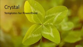  Presentation with four leaf clover - PPT layouts featuring joy concept on the theme background and a gold colored foreground