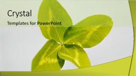  Presentation with four leaf clover - Cool new slides with joy concept on the theme backdrop and a yellow colored foreground