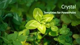  Presentation with four leaf clover - Theme enhanced with joy concept on the theme background and a tawny brown colored foreground