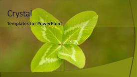  Presentation with joy - Amazing PPT layouts having joy concept on the theme backdrop and a gold colored foreground