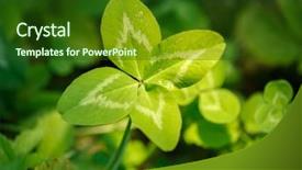  Presentation with four leaf clover - Beautiful presentation theme featuring joy concept on the theme backdrop and a forest green colored foreground