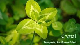  Presentation with four leaf clover - Colorful slides enhanced with joy concept on the theme backdrop and a forest green colored foreground