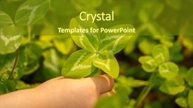  Presentation with clover - Theme featuring joy concept on the theme background and a tawny brown colored foreground
