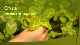  Presentation with four leaf clover - PPT layouts consisting of joy concept on the theme background and a tawny brown colored foreground