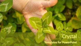  Presentation with four leaf clover - Theme with joy concept on the theme background and a tawny brown colored foreground