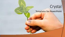  Presentation with four leaf clover - Slides having joy concept on the theme background and a sky blue colored foreground