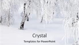  Presentation with joy - PPT theme consisting of joy dog playing in snow background and a sky blue colored foreground