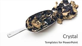  Presentation with fungus - Beautiful PPT theme featuring judas - dried chinese black fungus jelly backdrop and a  colored foreground